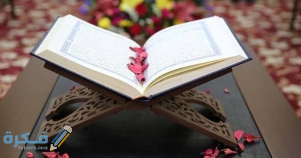 السورة التي جمعت كل حروف اللغة العربية السورة التي جمعت كل حروف اللغة العربية