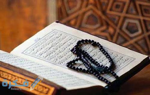 images 2021 05 20T040318.769