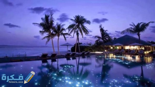 معلومات عن جزر المالديف
