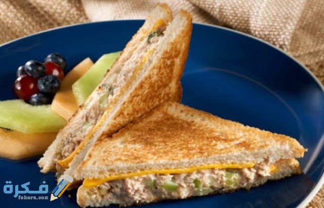 افكار سندوتشات للشغل