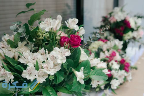 pexels photo 1067562