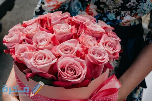 pexels photo 1233442