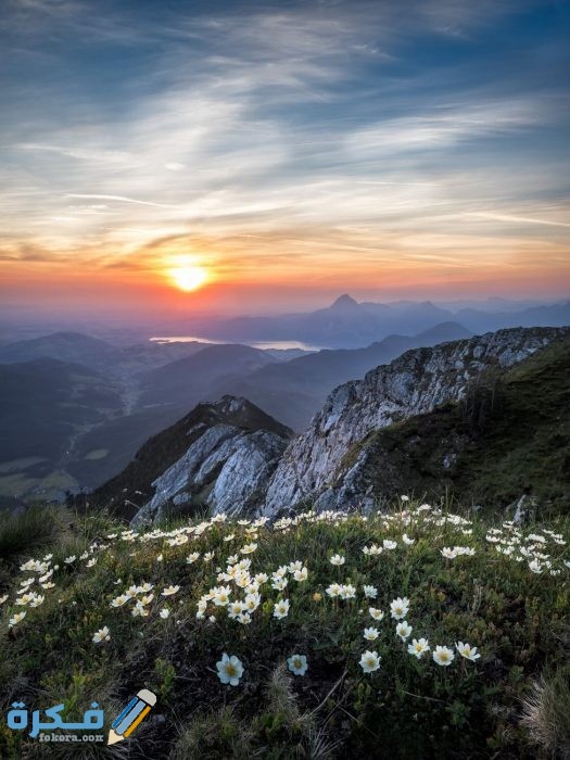 خلفيات مناظر طبيعية 2021 pexels photo 1266810