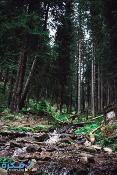 خلفيات مناظر طبيعية 2021 pexels photo 1271620