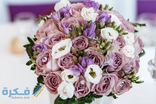 pexels photo 1488310