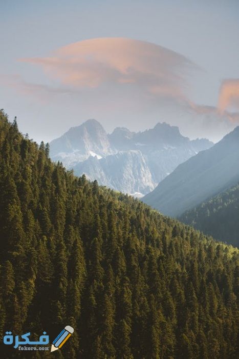 رمزيات مناظر طبيعية خلابة pexels photo 1834399