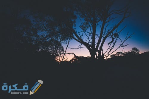 خلفيات مناظر طبيعية خلابة pexels photo 2212860