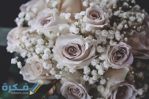 pexels photo 2306275