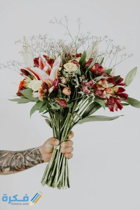 pexels photo 2691784