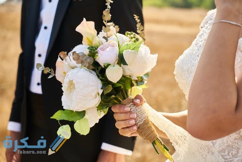 pexels photo 2925111