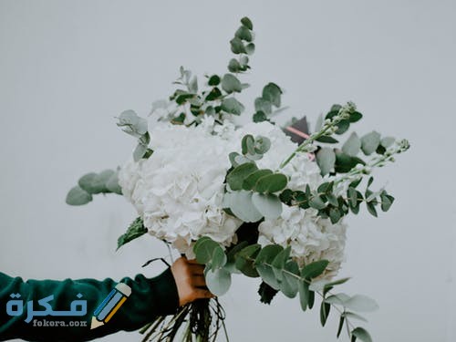 pexels photo 3142477