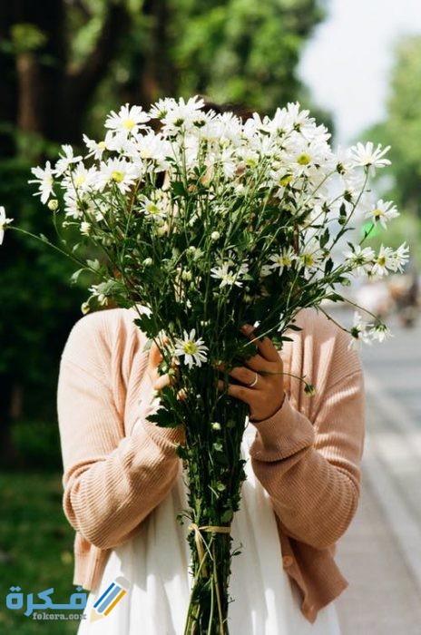 pexels photo 3290298