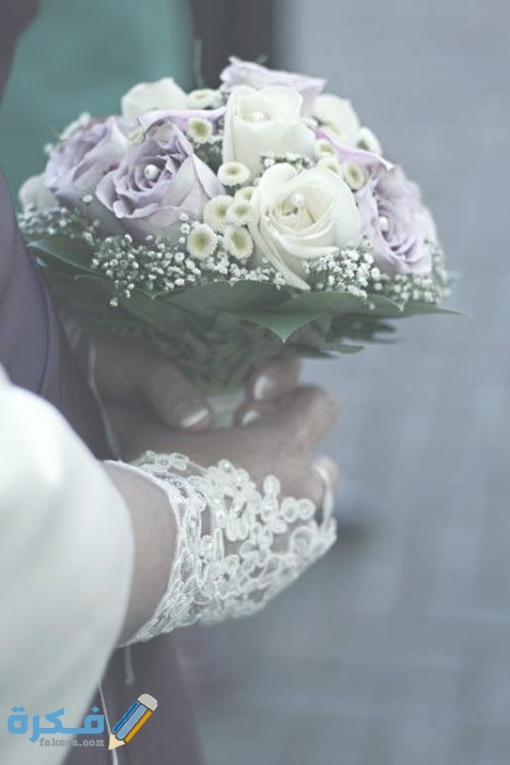 pexels photo 3759677