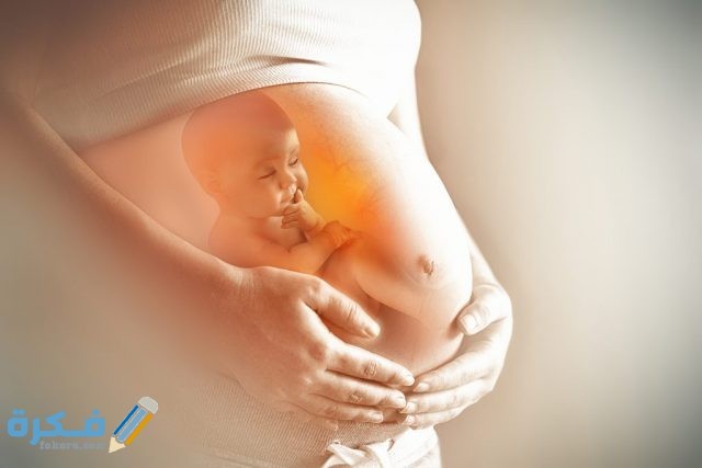 متى يتم فحص تشوهات الجنين