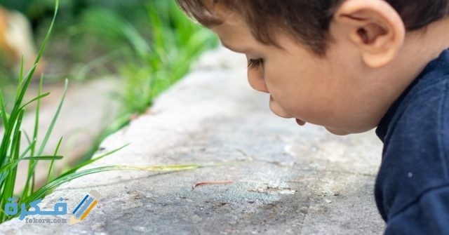 طريقة استخراج دود من بطن طفل صغير