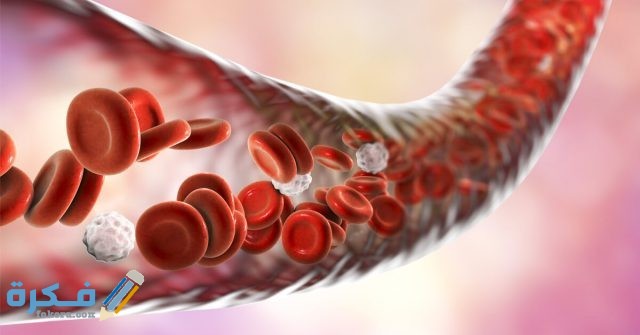 هَلْ ارتفاع الصفائح الدموية خطير