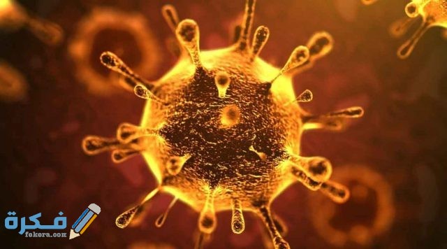 أسعار تحليل الجينات في مصر