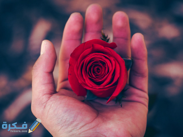 كيفية التخلص من شخص يحبني