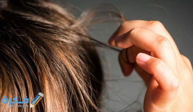 هوس-نتف-الشعر