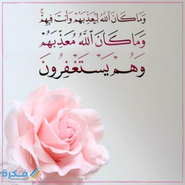 0ebb9bf83b82142ba06e5ffc73245bb6