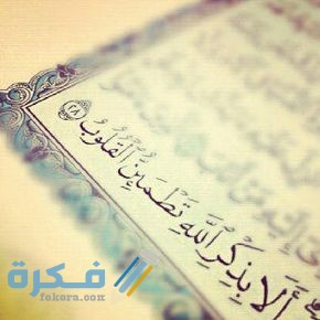 1179c9fdb06595fa793d3403fe216b98