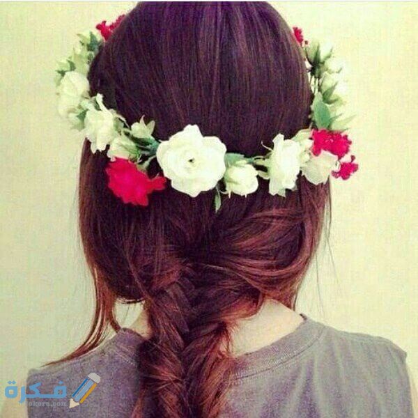 خلفيات بروفايل جديدة