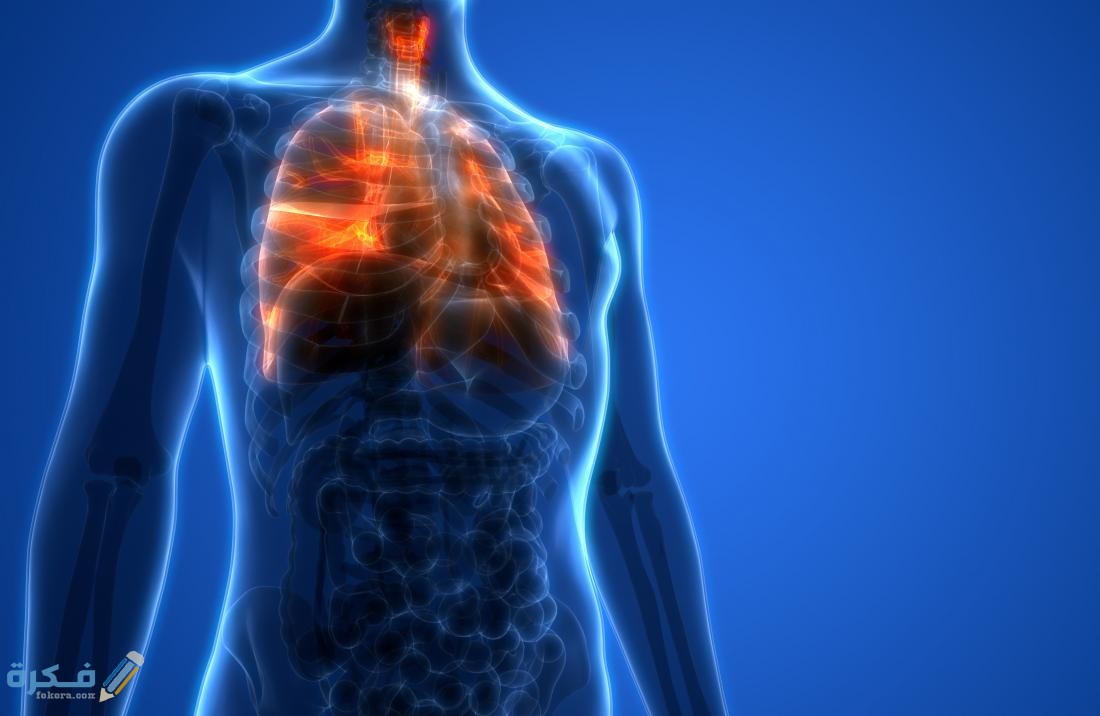 3 أعشاب طبيعية لعلاج التهاب القصبة الهوائية بالعسل 4 اسباب التهاب القصبة الهوائية