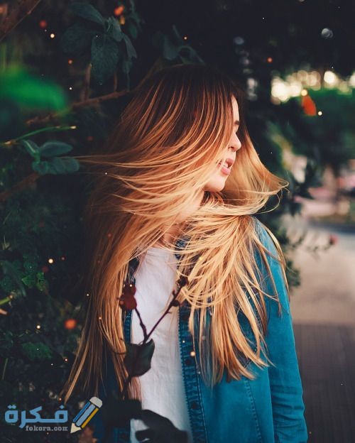 خلفيات بروفايل جديدة