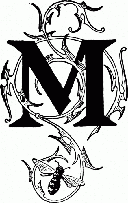 خلفيات حرف M 2633