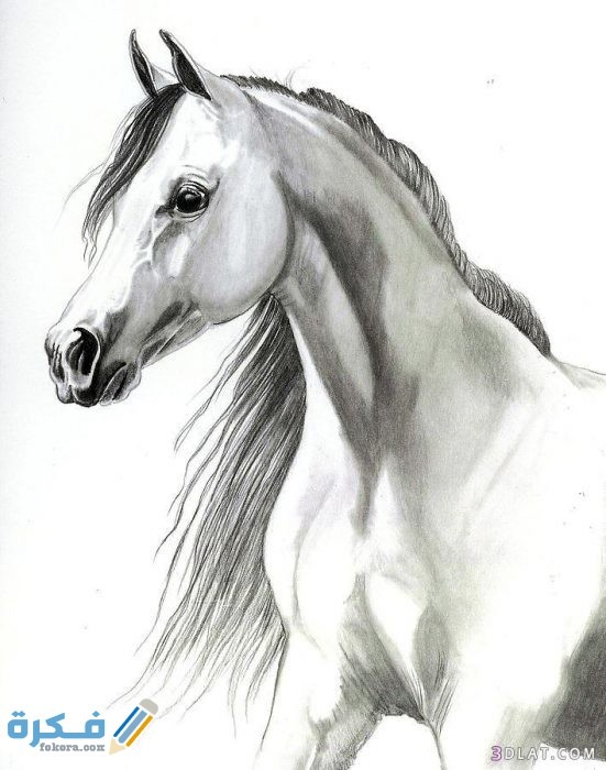 3dlat.com 12 18 5ffc 5cf003b9bf653