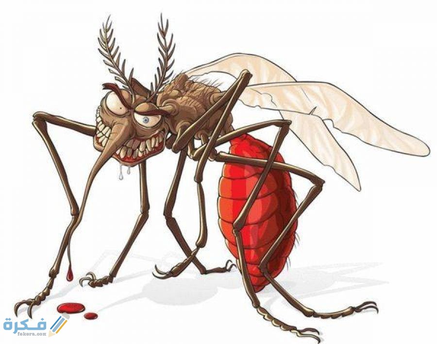 956BB259 D890 4AF8 8AF8 B60E4221FFCD