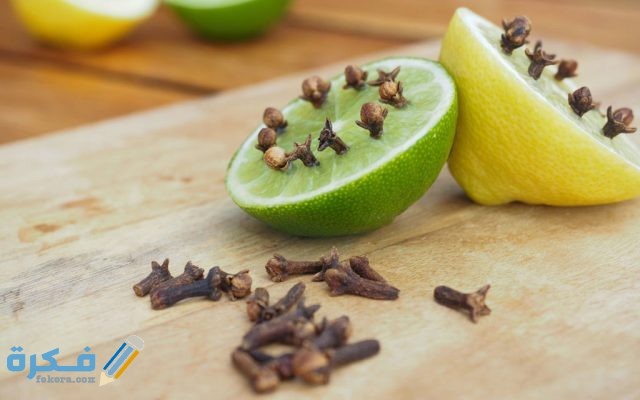 النعناع البري للتخلص من الناموس