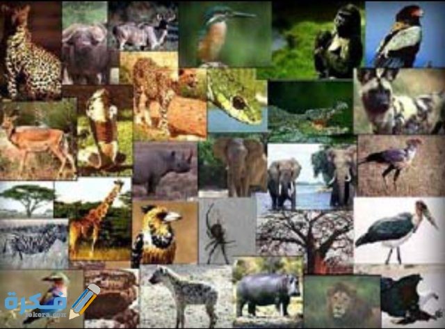 IMG ٢٠٢٠٠٦٠١ ١٠٣١٥٩