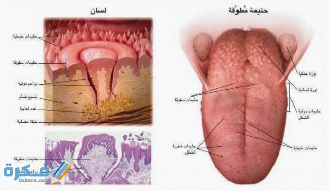 IMG ٢٠٢٠٠٦٠١ ١١٤٦١٣