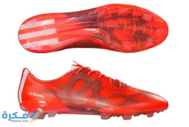 IMG ٢٠٢٠٠٦١٥ ١٥٠٣٥١