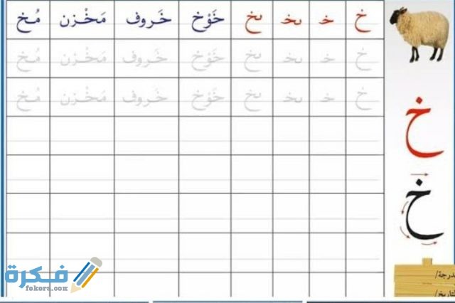 IMG ٢٠٢٠٠٦١٨ ٠٠٥٣٠٨