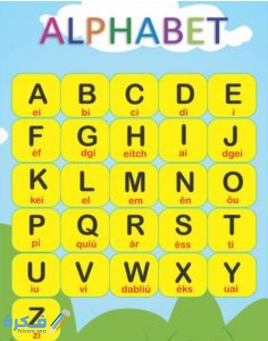 IMG ٢٠٢٠٠٦١٩ ٠٠٣٣٢٤