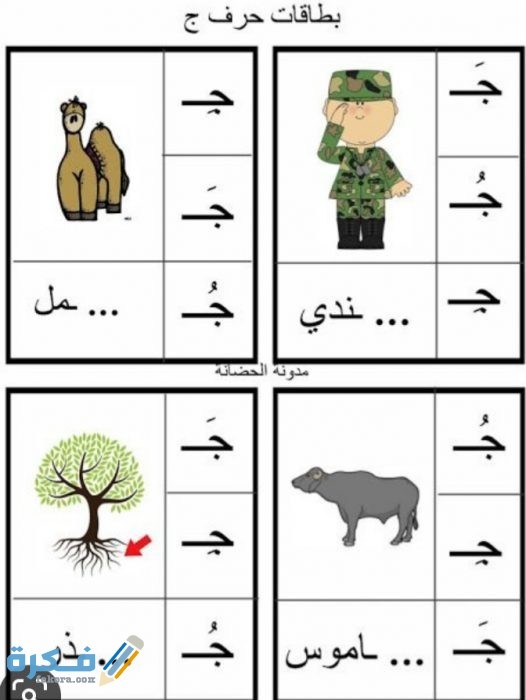 IMG ٢٠٢٠٠٦١٩ ٠٠٤٠٢٤