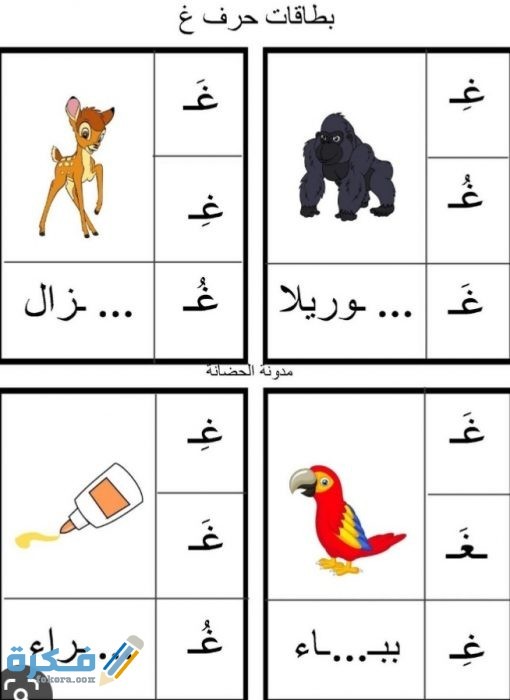 IMG ٢٠٢٠٠٦١٩ ٠٠٤١٢٢