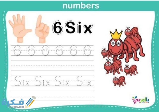 IMG ٢٠٢٠٠٦٢٠ ٠٣٢٧٤٣