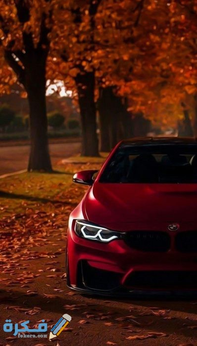 IMG ٢٠٢٠٠٦٢٤ ١٧٣٧٣٣