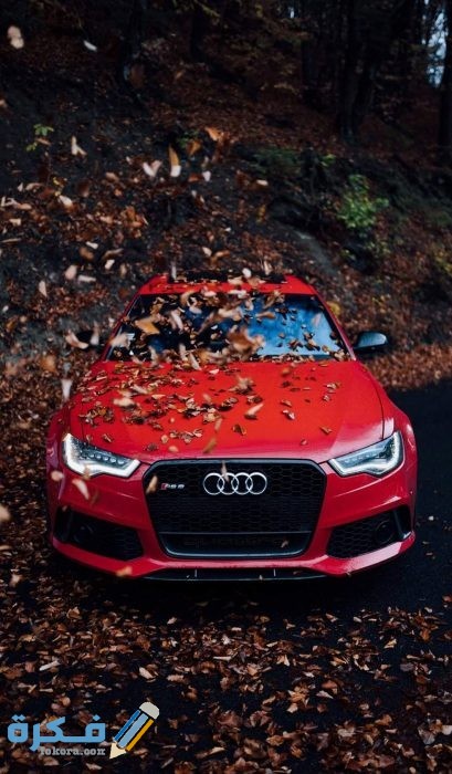 IMG ٢٠٢٠٠٦٢٤ ١٧٣٧٥٠