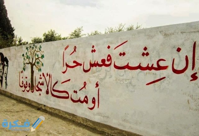 b6be5c802d46a7966ffcaad1f30eaffb