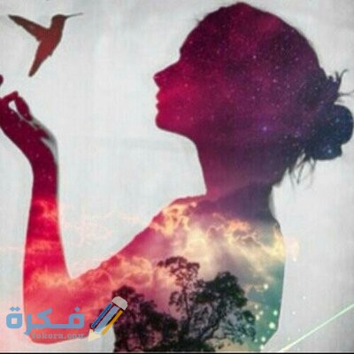 خلفيات بروفايل جديدة