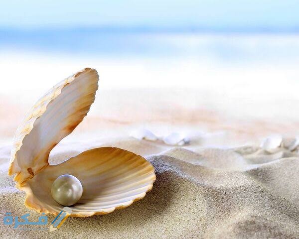 اسماء بنات بمعنى اللؤلؤ