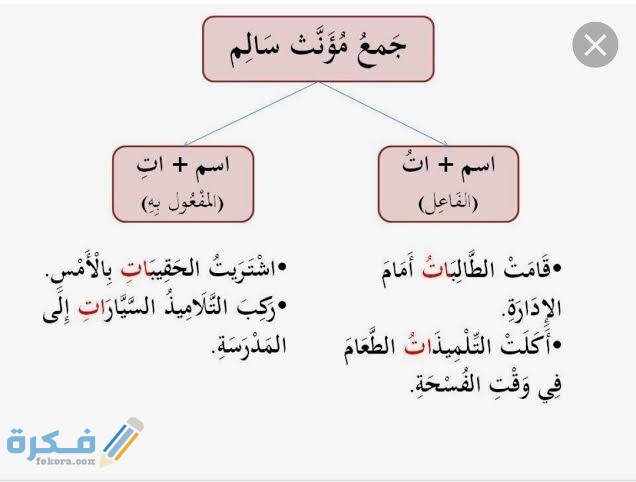 علامات نصب جمع المؤنث السالم 