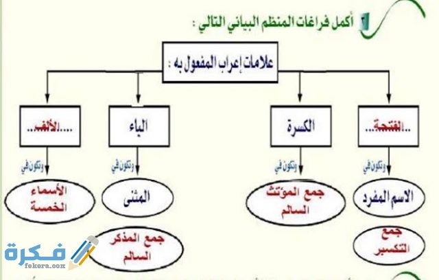 علامات نصب المفعول به 