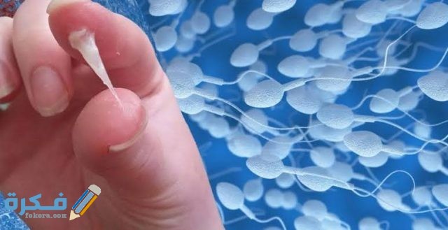 حكم خروج المذي بشهوة