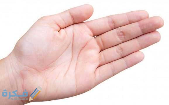 تفسير رؤية اليد