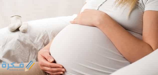 تفسير رؤية الحمل